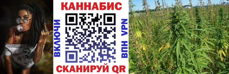 что такое наркотик Балей Каннабис OG Kush